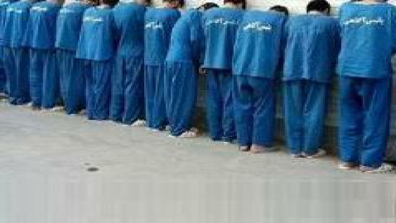 دستگیری ۱۱ نفردرطرح عملیاتی مبارزه با سرقت مغازه در گیلان