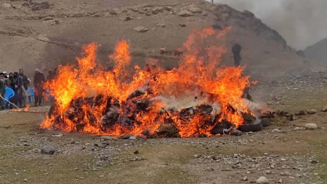آتش زدن مواد مخدر در تخار