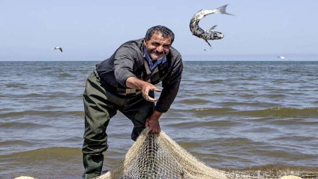 صید ۶۱۰تن انواع ماهیان استخوانی در سواحل گیلان