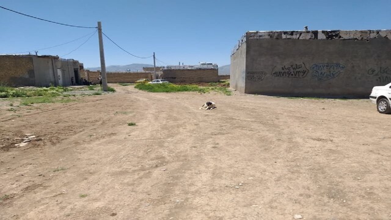 آخرین وضعیت ساماندهی روستای ده پهن