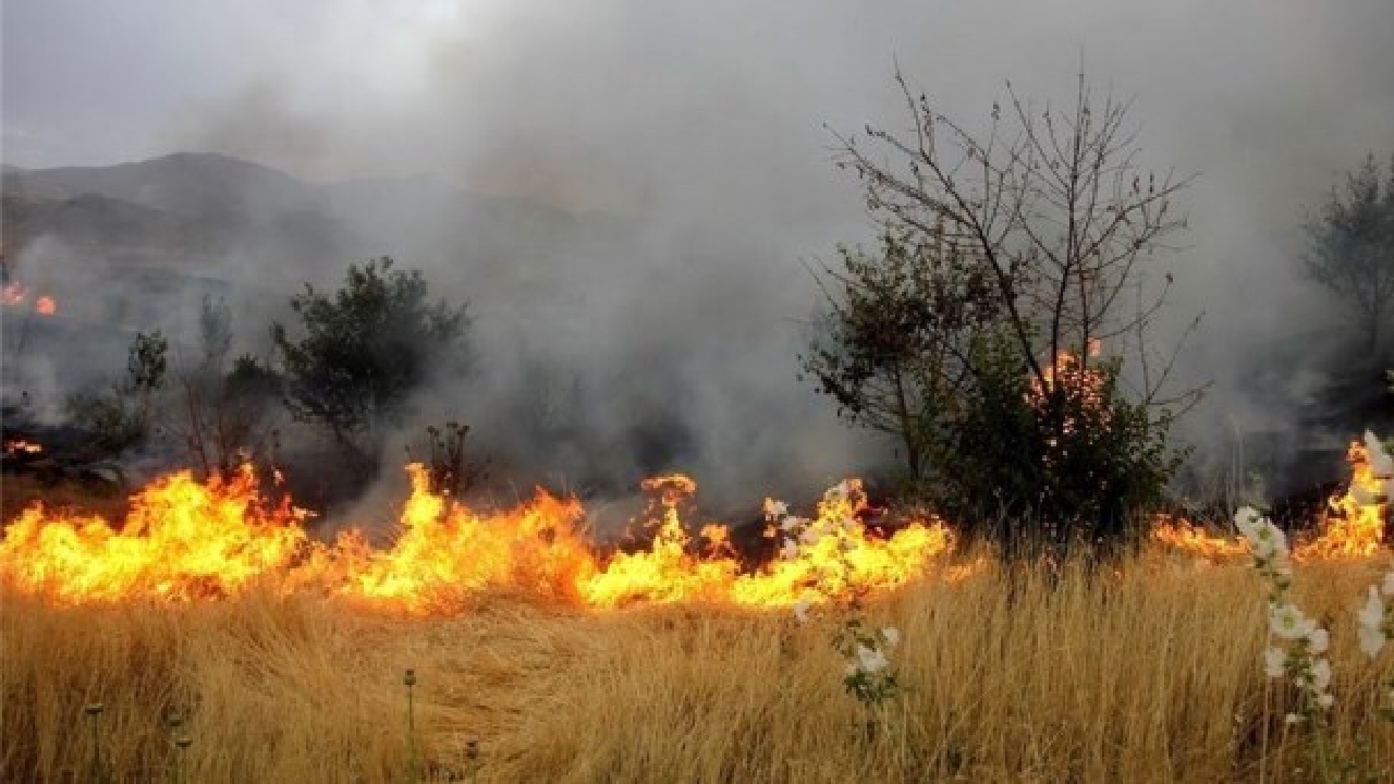 آتش سوزی در بیش از ۲هزار مترمربع مراتع گیلان