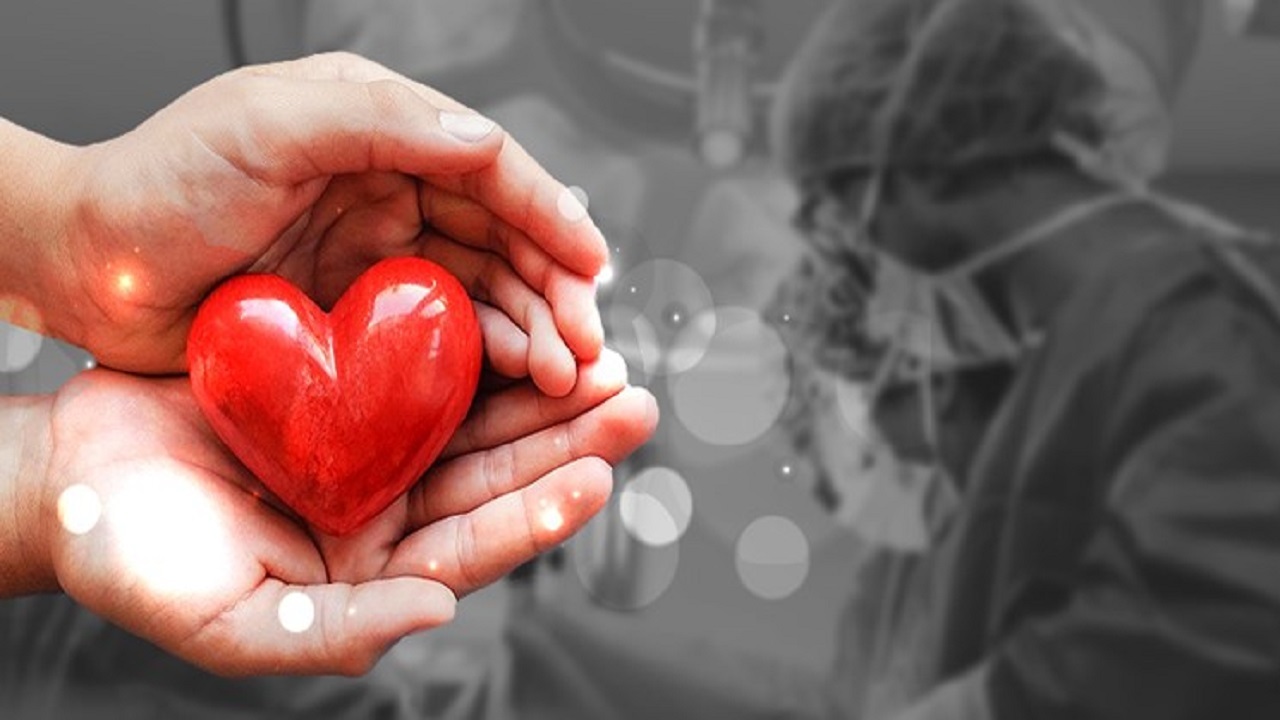 رتبه نخست کشوری یزد در اهدای عضو