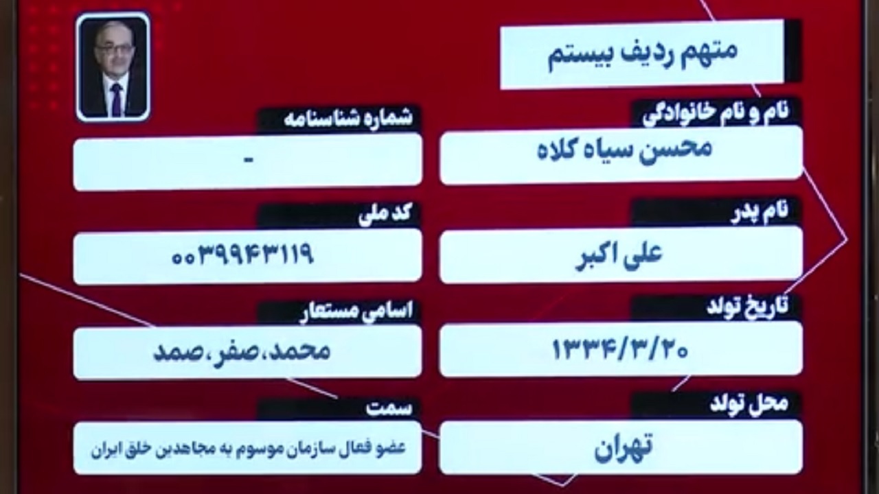 با یکی از همکاران اصلی کلاهی و کشمیری آشنا شوید!