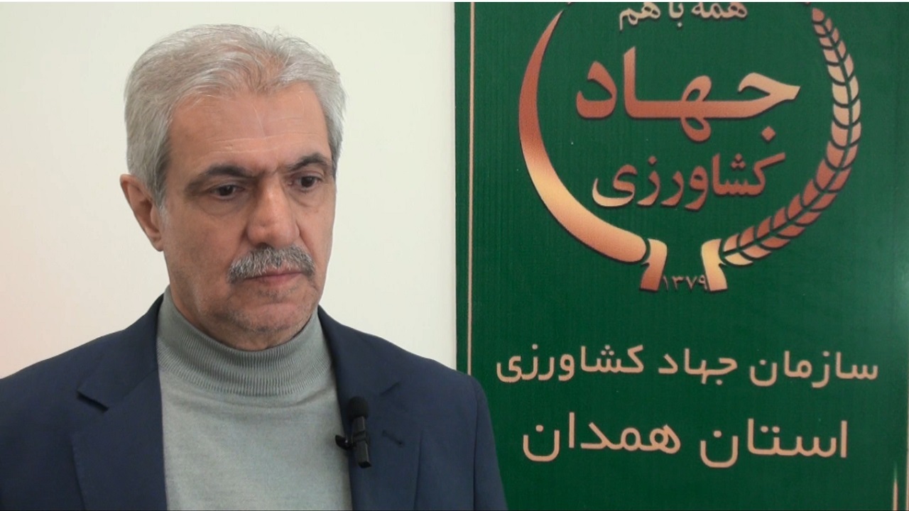 افزایش ۲۱ درصدی جوجه‌ریزی در همدان