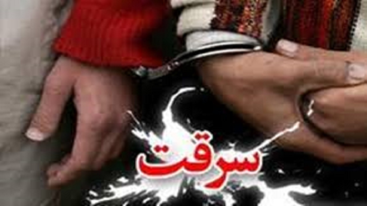 افزایش ۷۷ درصدی کشف کش روزنی در مازندران
