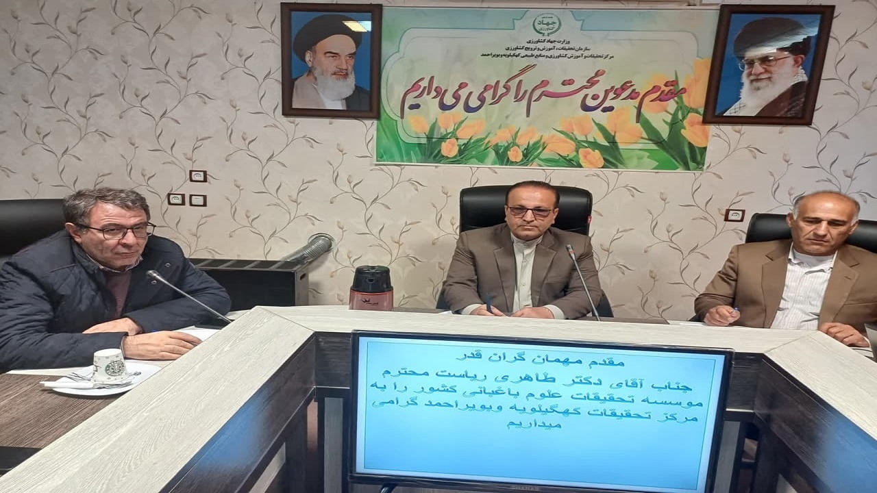 اصلاح الگوی کشت ضامن بهره وری محصولات باغی
