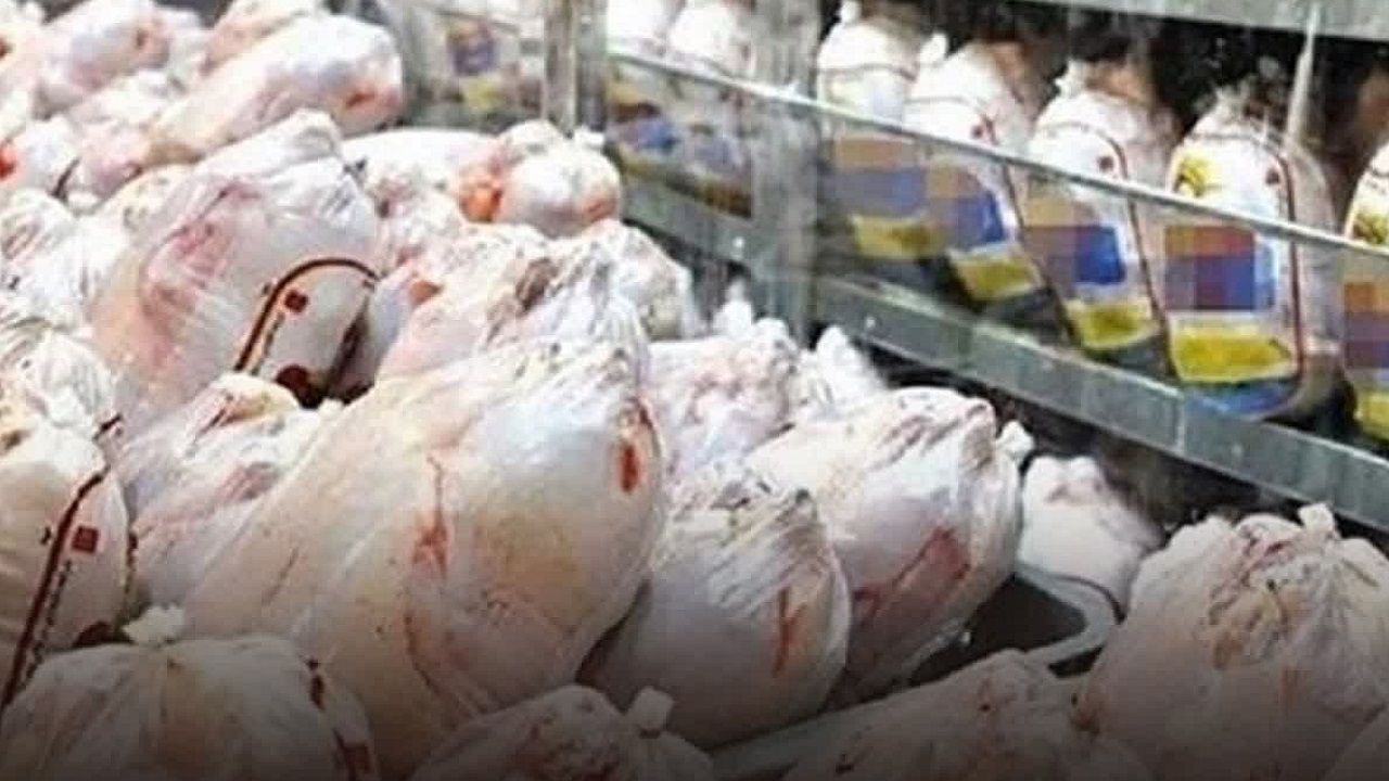 توزیع ۴۳۲ تن مرغ منجمد در استان قزوین