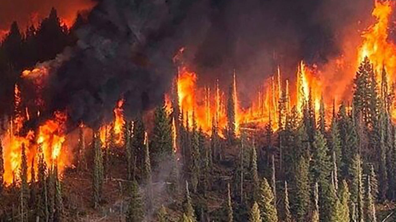 ۳۵۰ جریب از جنگل‌های نورستان در آتش سوختند