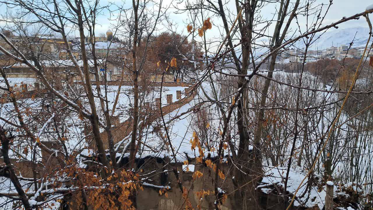 بارش برف زمستانی