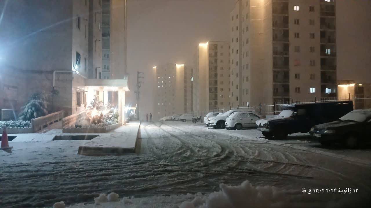 بارش برف در پردیس