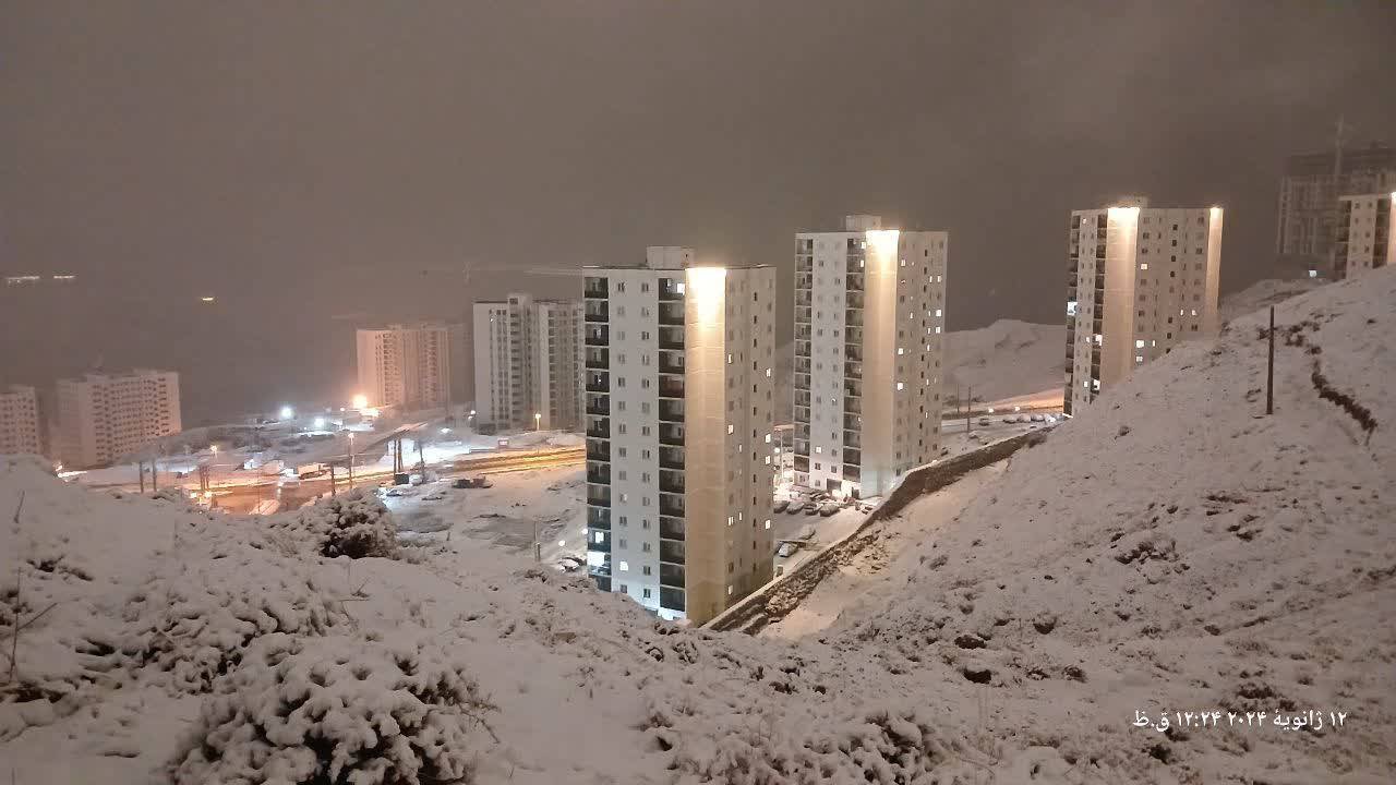 بارش برف در پردیس