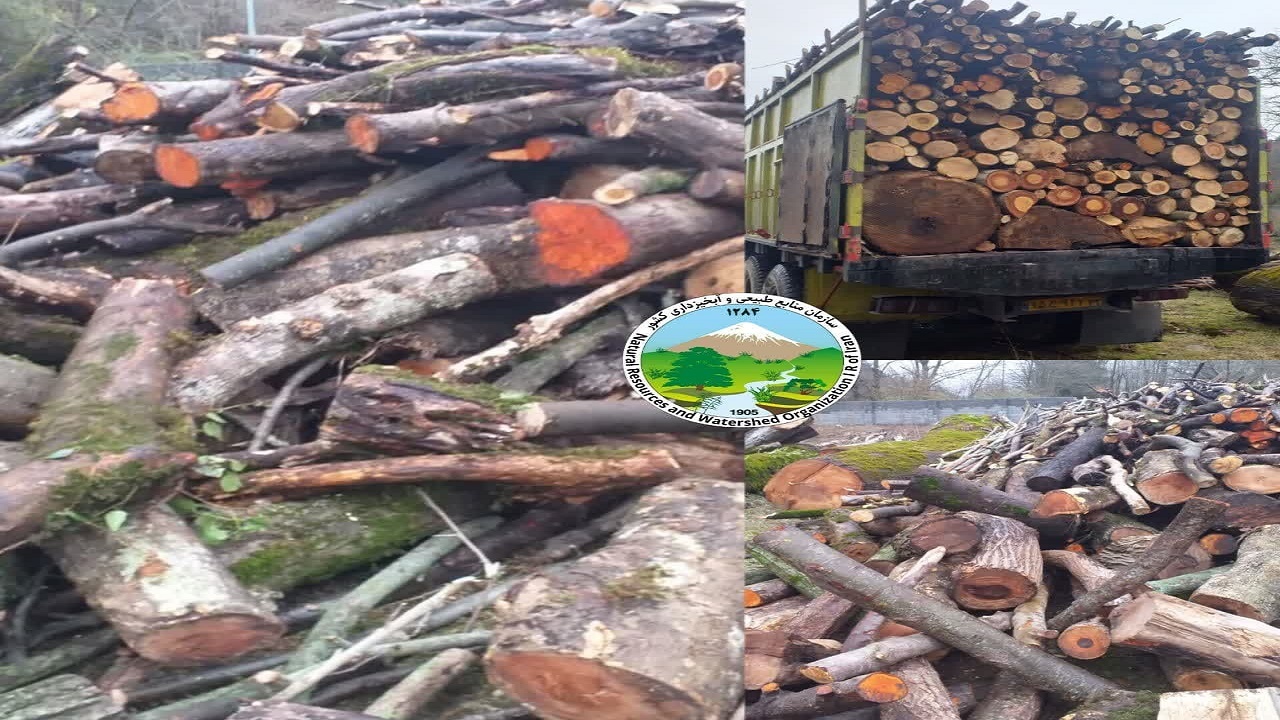 کشف و ضبط ۱۶ تن چوب آلات جنگلی و باغی قاچاق در شهرستان نور