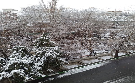 برف زمستانی