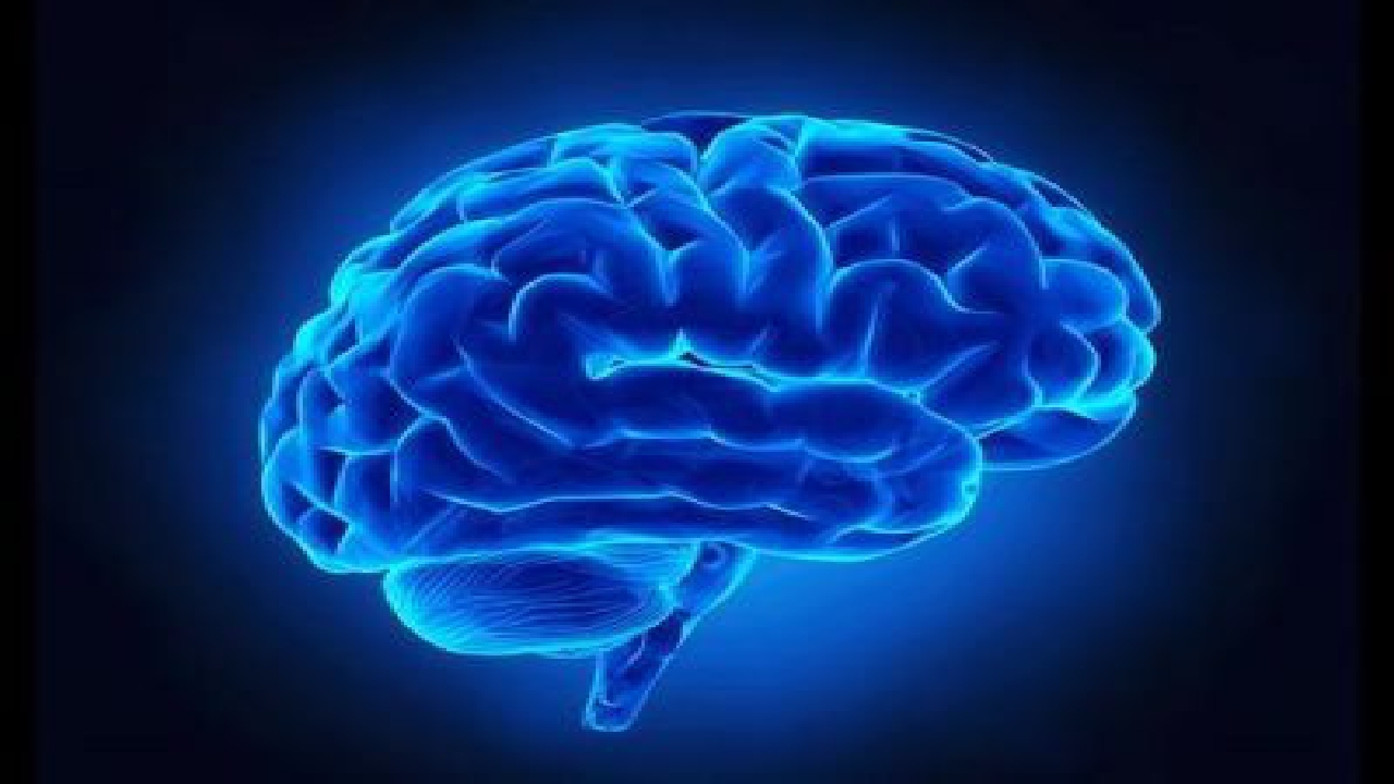 واقعا از ۱۰درصد مغزمان استفاده می‌کنیم؟