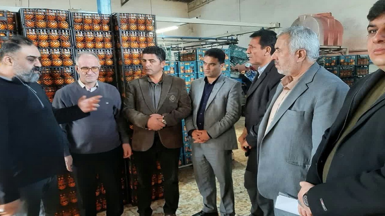 پرتقال شب عید چهارمحال و بختیاری تامین شد