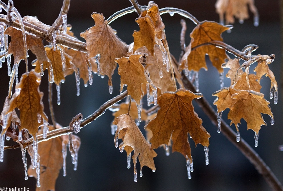 سرما و یخبندان در استان زنجان حاکم می‌شود