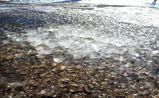 نمای زمستانی مهر شهر کرج