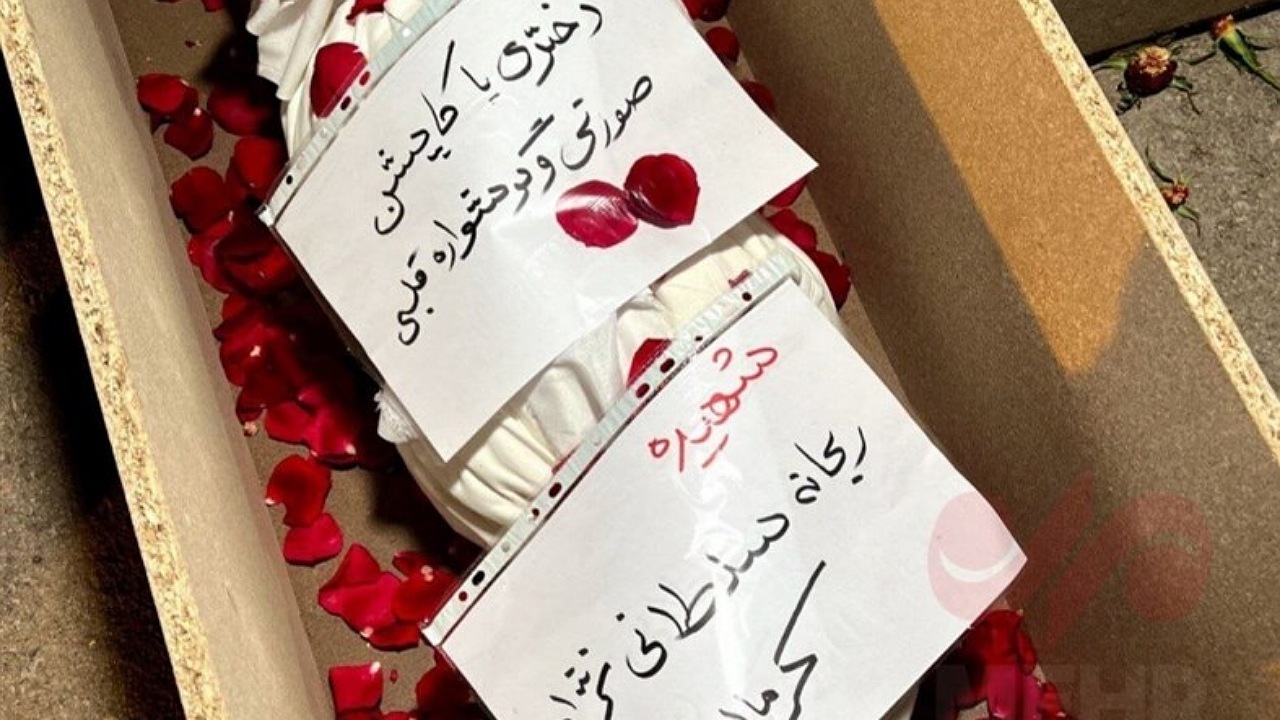 شعرخوانی شاعران برای شهدای کرمان