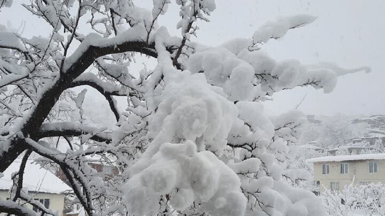 آخرین اخبار از استان‌های برفی در کشور/ارتفاع برف در گردنه ژالانه از ۲ متر گذشت + فیلم