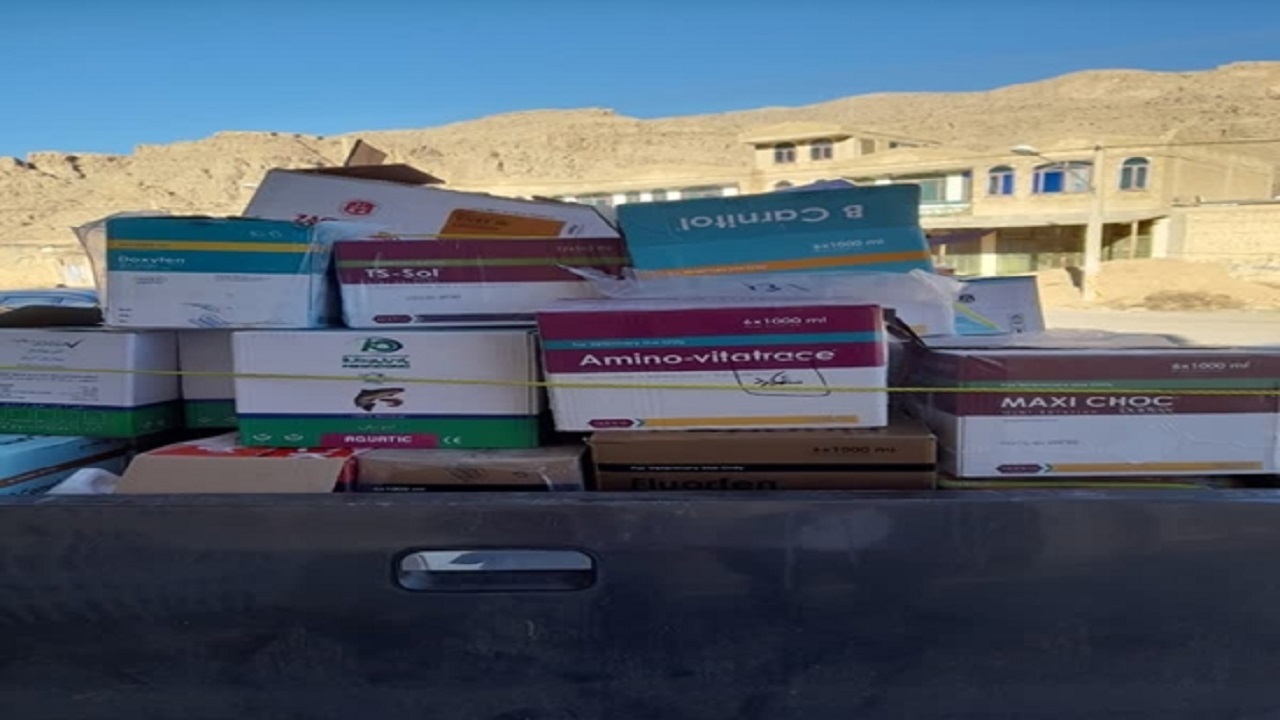 کشف ۸۴ قلم داروی دامپزشکی خارج از شبکه توزیع در شهرستان فلارد