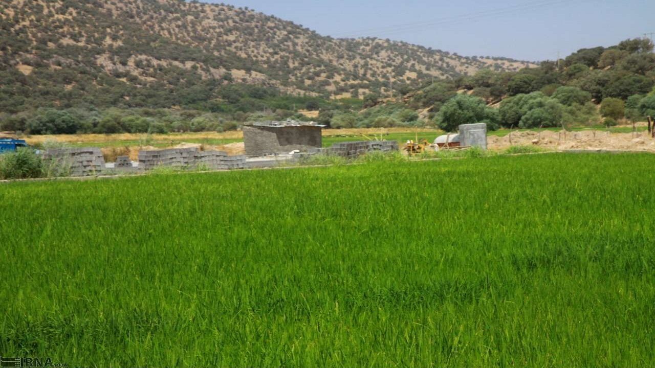عزم استان مرکزی در احیای واحدهای راکد جهاد کشاورزی