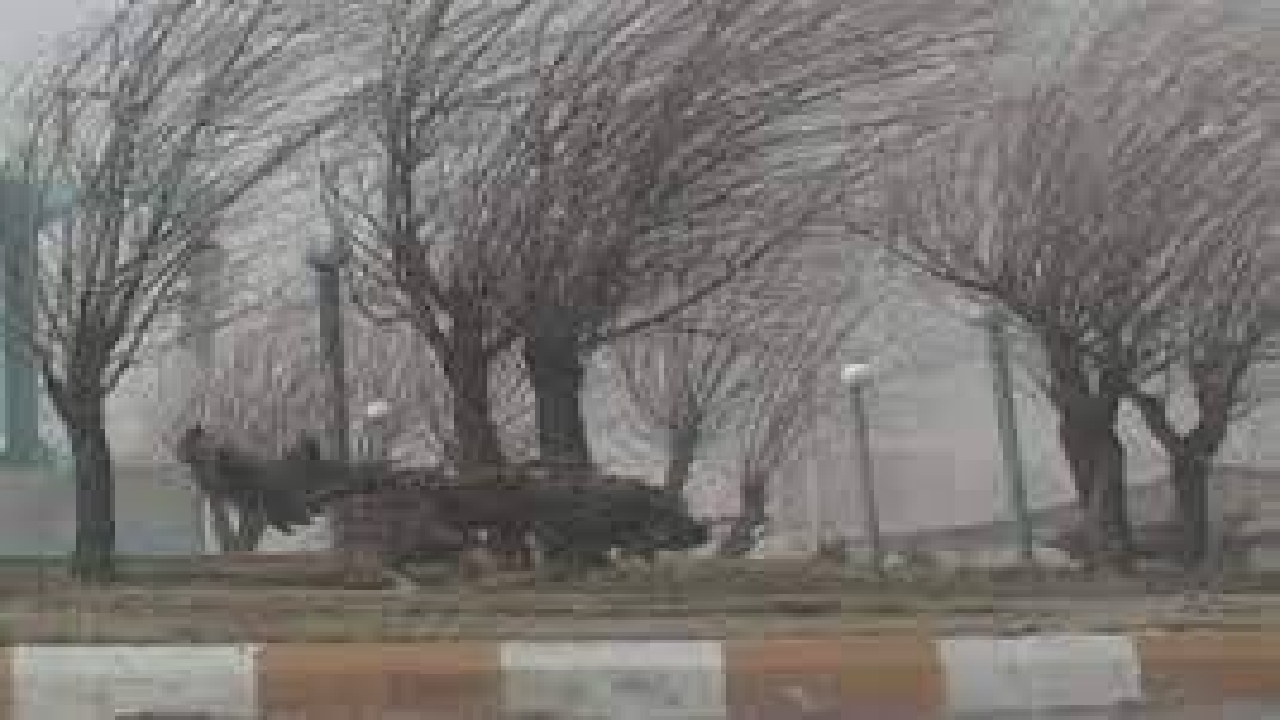 وزش باد با سرعت ۸۰ کیلومتر بر ساعت در ایل بیگی