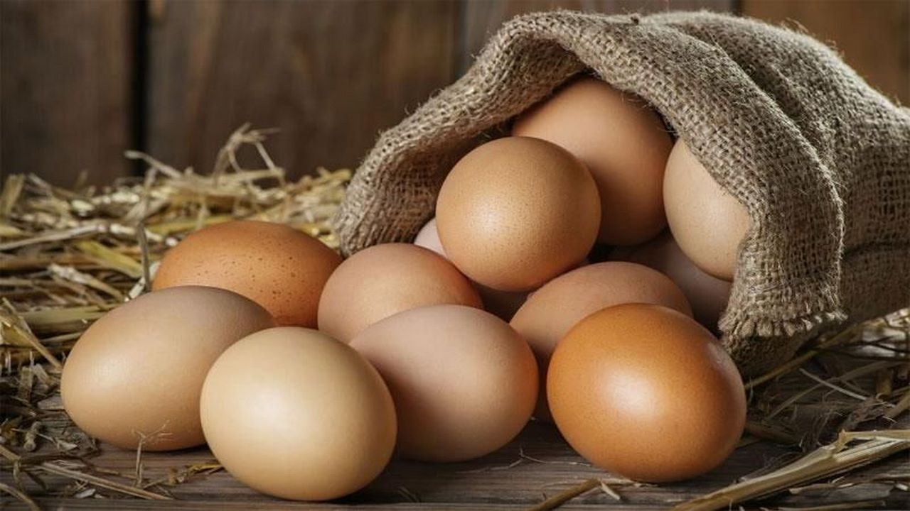 حمایت از تولید و بسته بندی تخم مرغ محلی عشایر ایلام