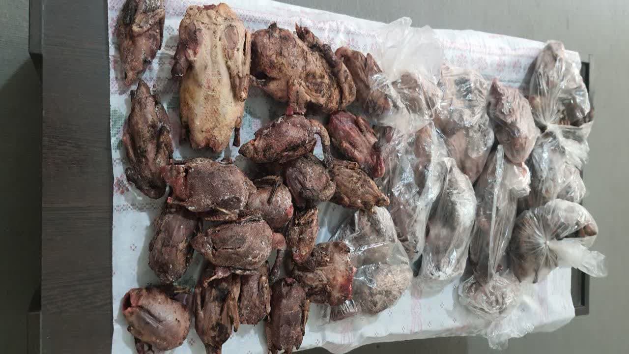 کشف لاشه ۵۷ پرونده وحشی از یک تبعه خارجی در فرودگاه شیراز