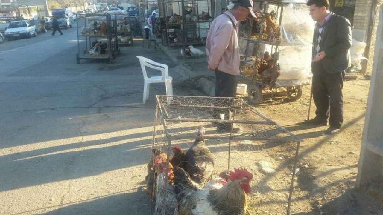 حلقه مفقوده عدم نظارت در بازار مشترک زاهدان