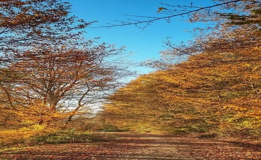 نگاهی به شهر ساری