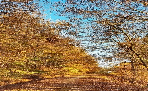 نگاهی به منظره زیبای شهر ساری