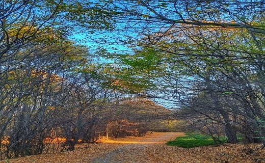 نگاهی به جاذبه های گردشگری در ساری