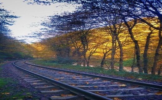 جاذبه های گردشگری شهر ساری