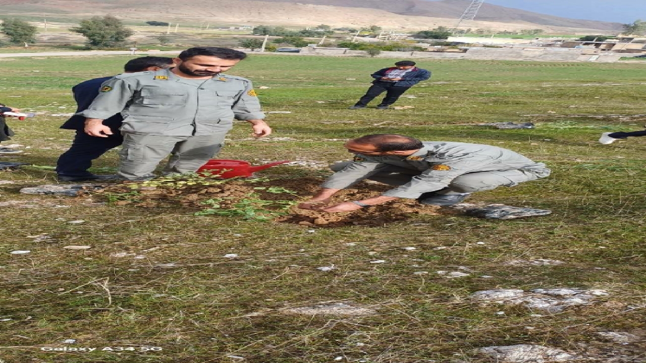کاشت نهال در شهرستان اندیکا