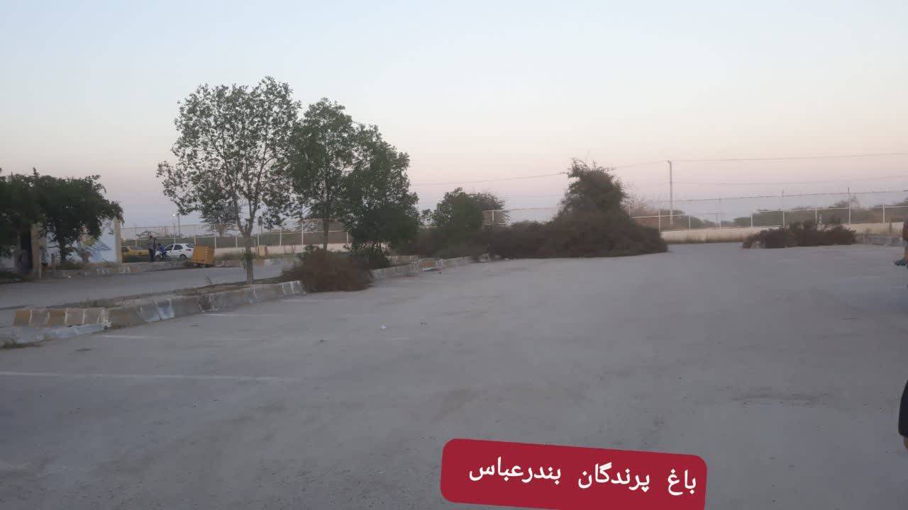 محیط باغ پرندگان