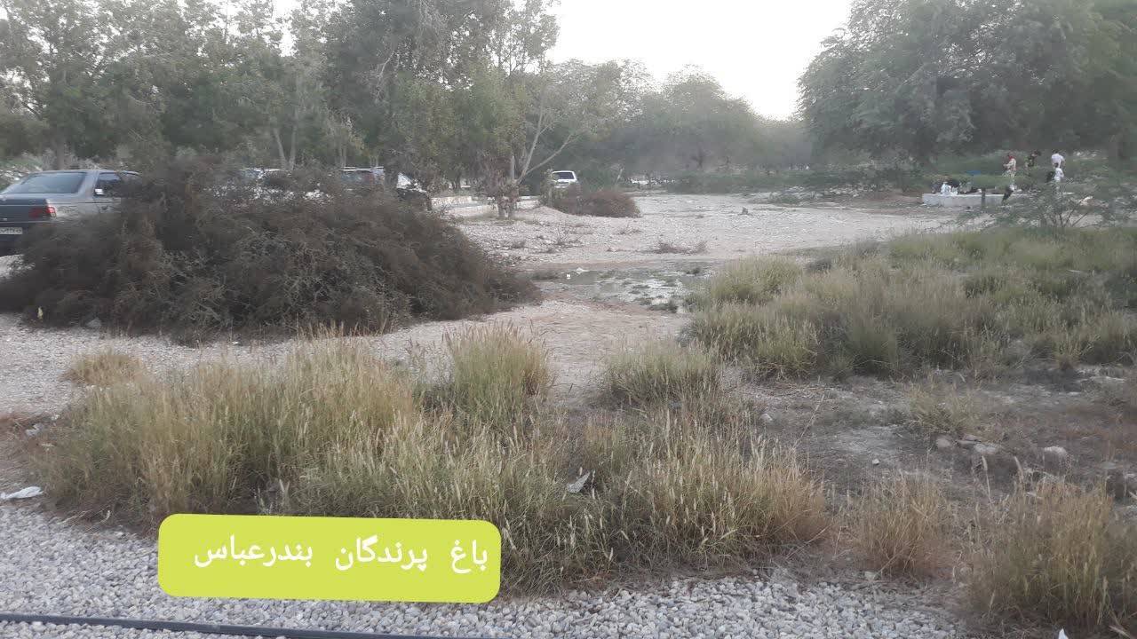 رسیدگی نکردن به فضای باغ پرندگان