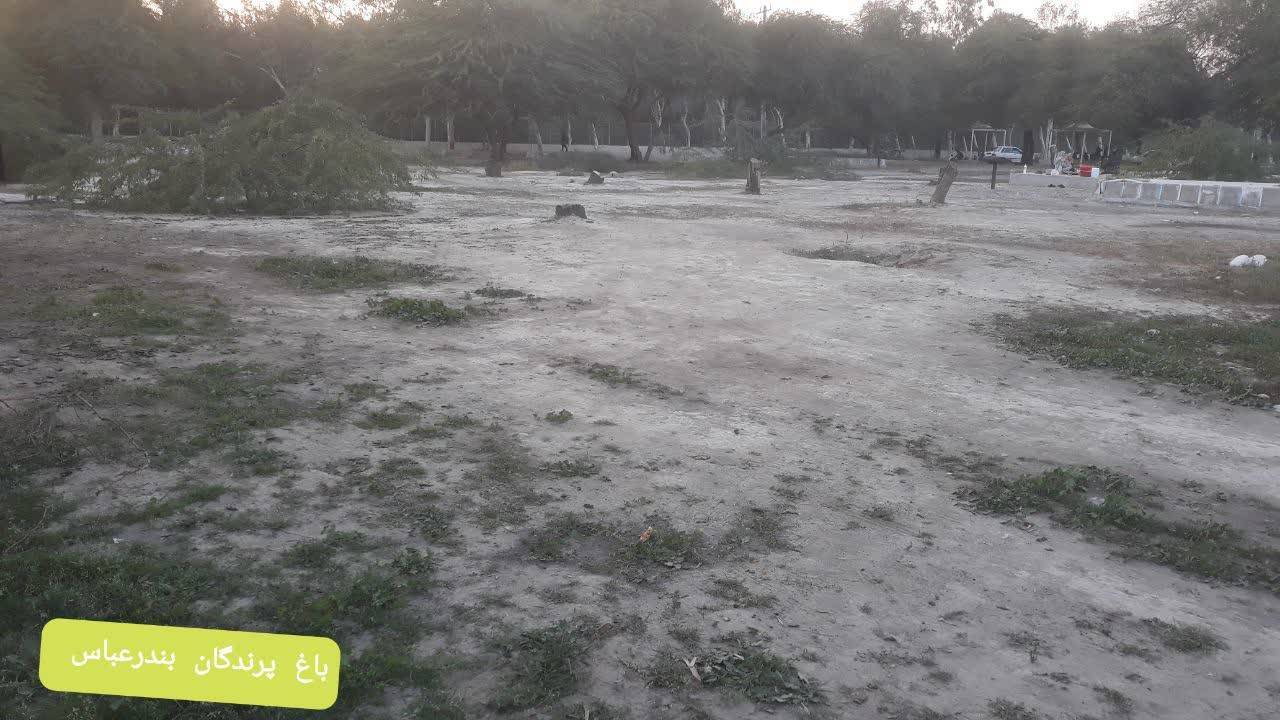 عدم رسیدگی به باغ پرندگان