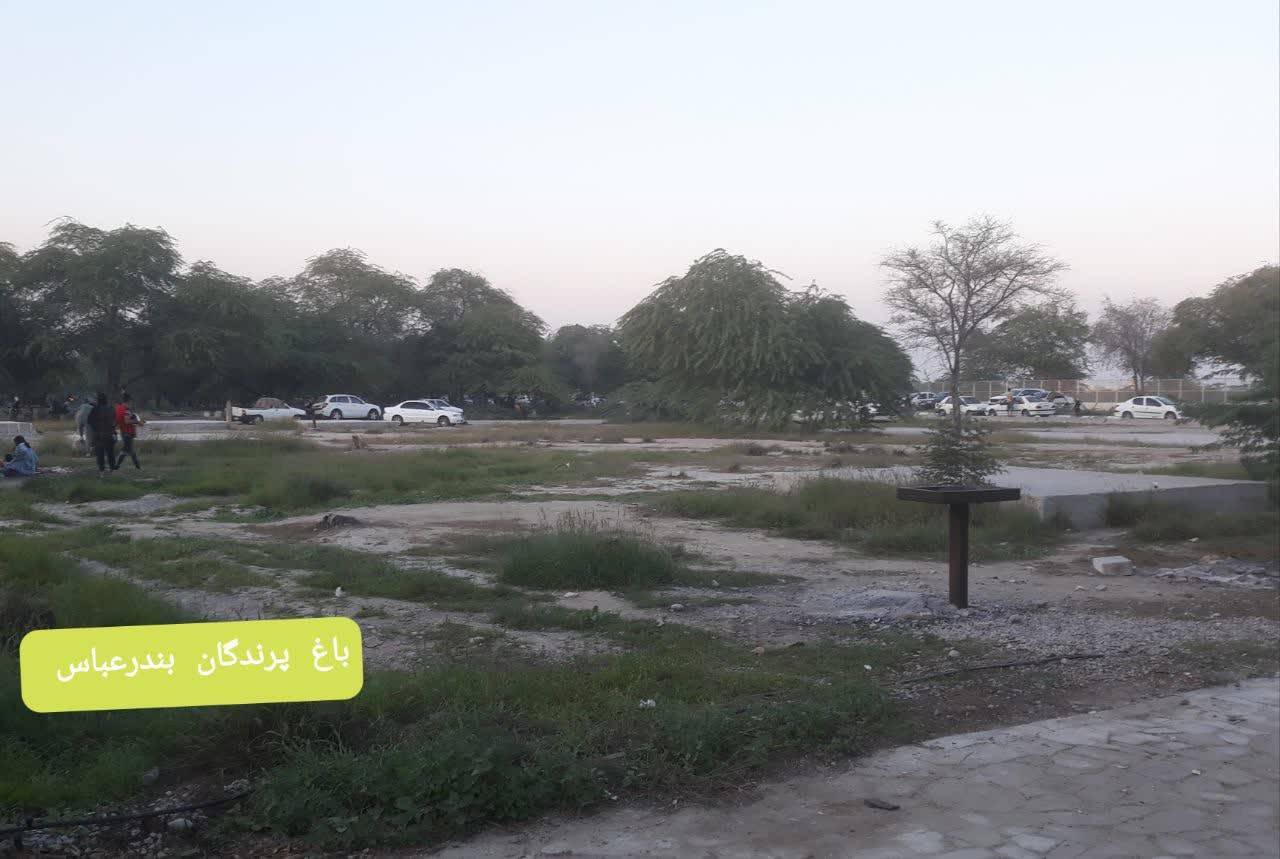 فضای باغ پرندگان