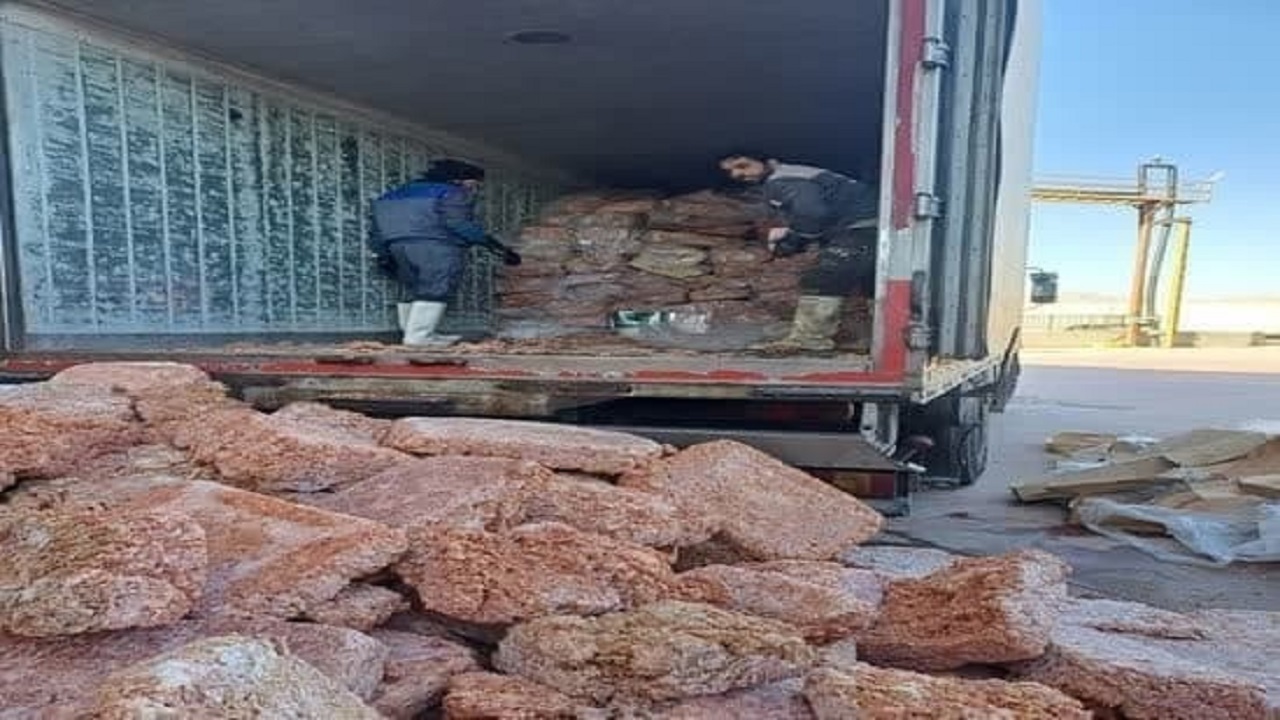 کشف و معدوم سازی بیش از یازده تن ضایعات مرغ در شهرستان مهریز