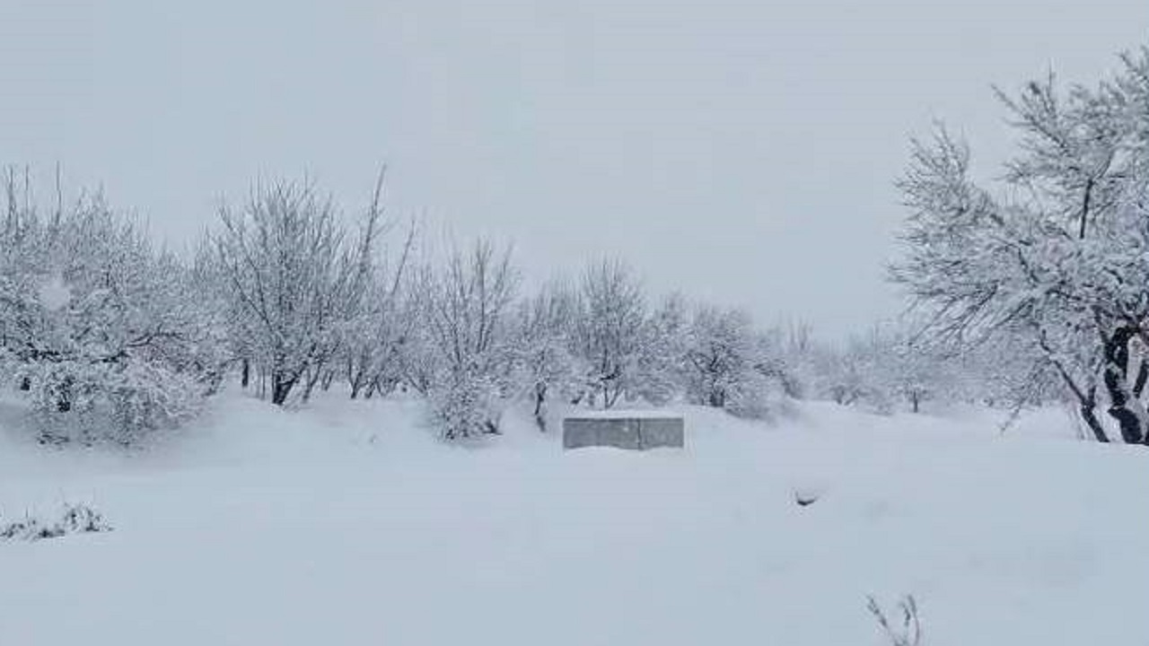 روستای مارکده شهرستان سامان با بارش برف سفیدپوش شد + فیلم