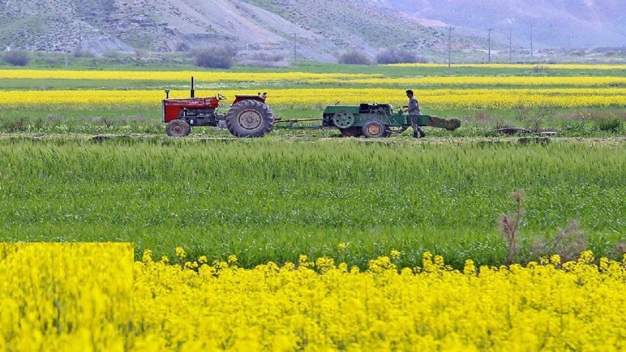 ۱۶ هزار تُن کود یارانه‌ای برای قم تامین شد