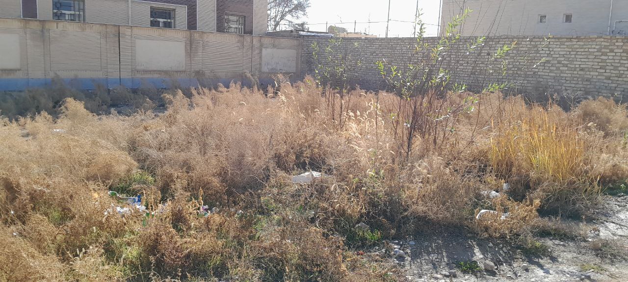 عدم پاکسازی معابر از گیاهان
