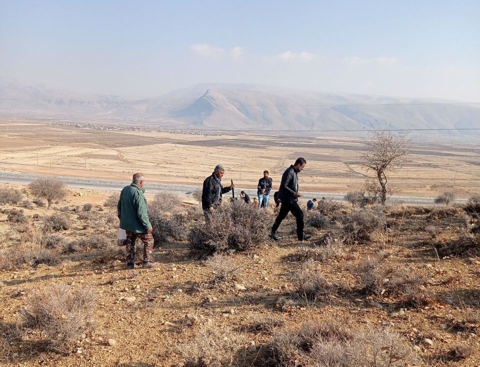 بذرکاری