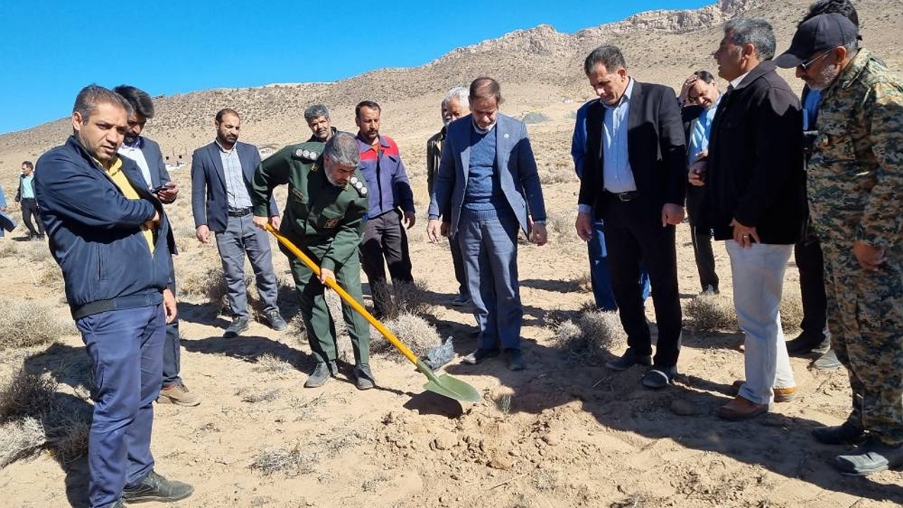 آغاز کاشت هزاران درخت در زرند
