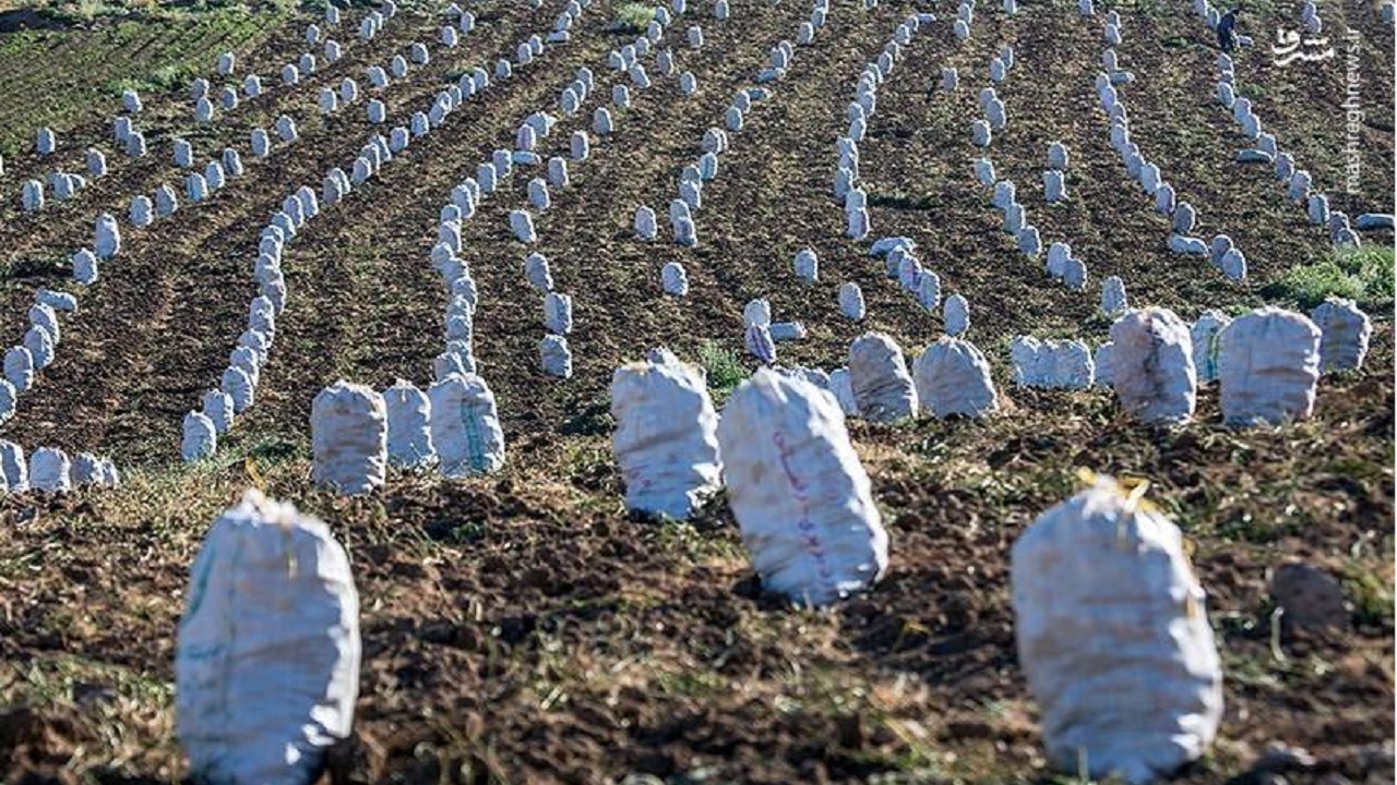 نیاز شهرستانهای غرب استان اصفهان به صنایع تبدیلی