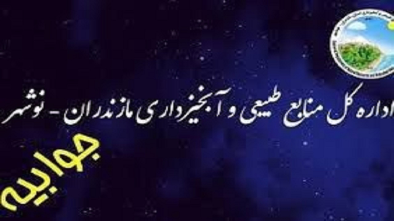 جوابیه منابع طبیعی به قطع درختان هیرکانی در حاشیه جاده عباس آباد