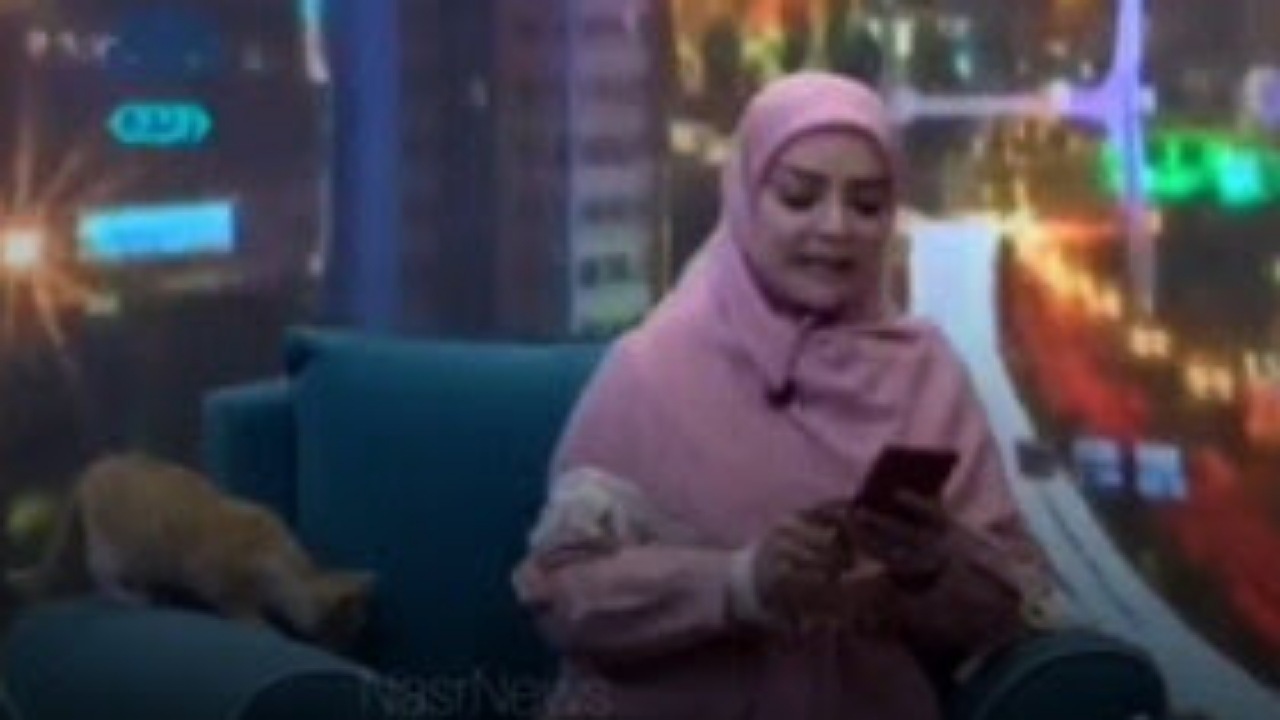 مهمان ناخوانده شبکه سهند + فیلم