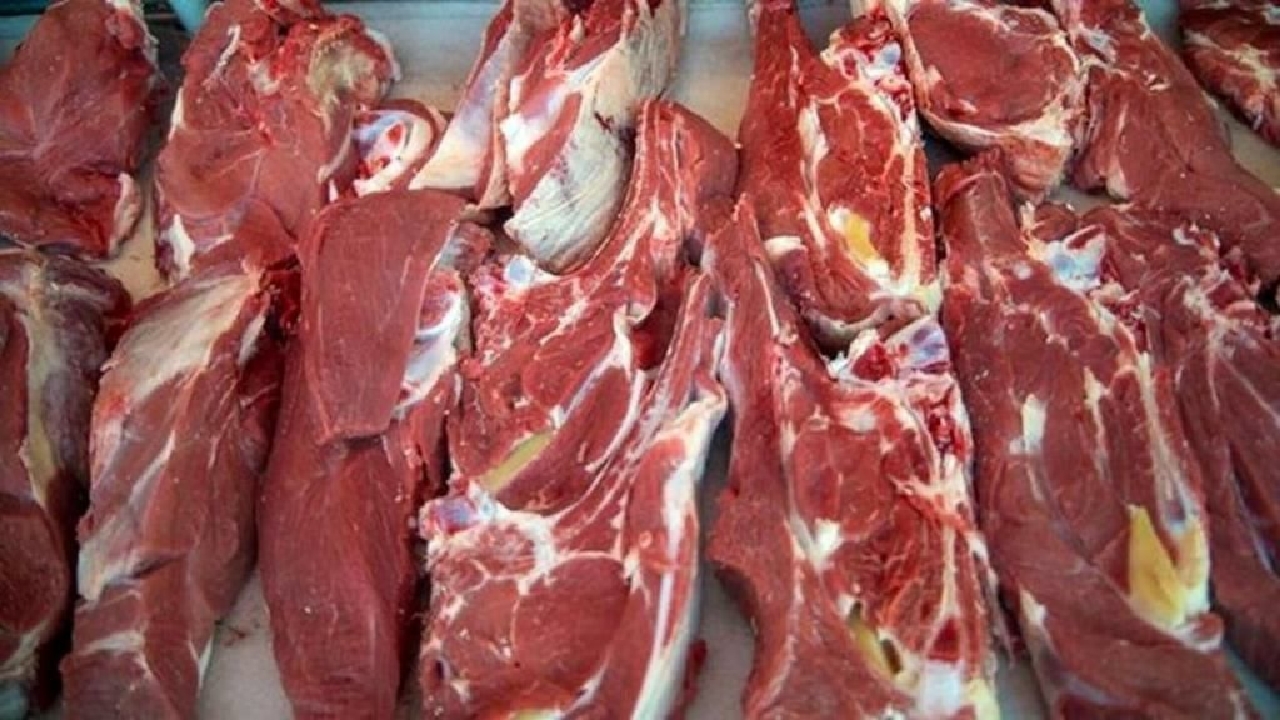 توقیف محموله یک تنی گوشت فاقد مجوز در چابکسر