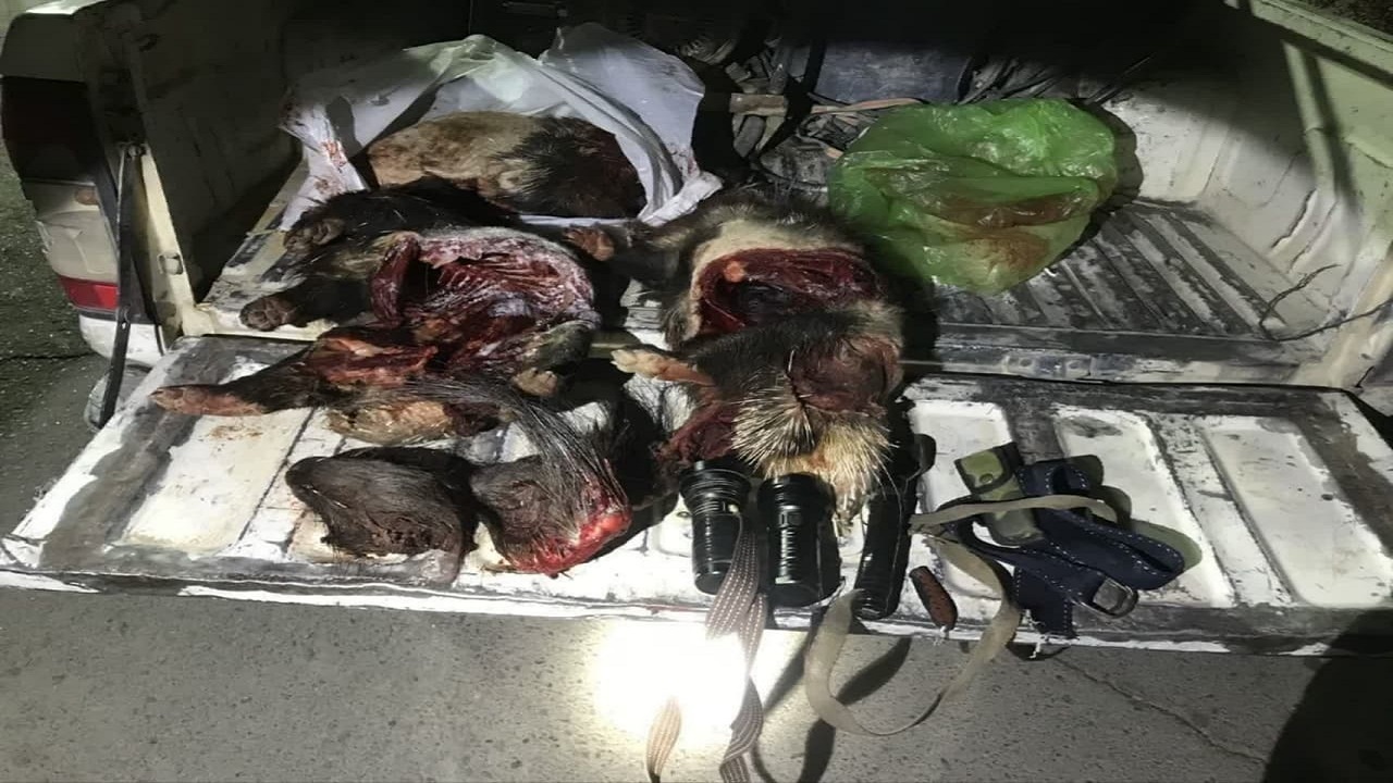 دستگیری شکارچی غیرمجاز در تفت