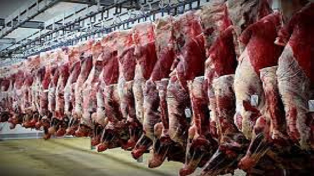 افزایش ۳.۲ درصدی تولید گوشت قرمز در استان قزوین 